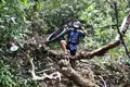 Mountainbiker überwindet Hindernis im Dschungel.
