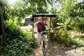 Radfahrer auf einer Holzbrücke inmitten tropischer Vegetation.