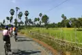 Kambodscha Radreise. Radfahrer auf einer ländlichen Straße, umgeben von Reisfeldern und Palmen.