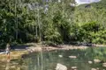 UnsereStudiosus-Reise für Singles und Alleinreisende nach Mauritius führt uns unter anderem in den Black River Gorges National Park, ein grünes Naturparadies.