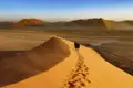 Jede Menge Highlights bietet die Rundreise in der kleinen Gruppe aus unserem smart & small-Programm, wie zum Beispiel eine beeindruckende Wanderung in den Dünen der Namibwüste.