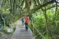 Unsere Studiosus-Rundreise durch Kapstadt, zur Karoo und entlang der Gartenroute führt auch zum Tsitsikamma- Nationalpark, einem grünen Paradies an Südafrikas Südküste.