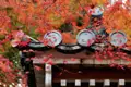 Im Herbst, und also auch auf unserer 15-tägigen Studienreise Japan - Herbstlaubfärbung, sind viele heilige Schreine in Japan in ein Farbenmeer voller Blätter getaucht.