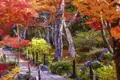 Gemeinsam schreiten wir  auf der 15-tägigen Studienreise Japan - Herbstlaubfärbung durch die Gärten von Kyoto und genießen die Stimmung.