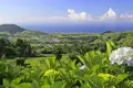 Immer wieder bieten sich uns auf der Gruppenreise Ausblicke auf die grüne Hügellandschaft der Azoren und dem Meer im Hintergrund, im Sommer blühen die Hortensien.