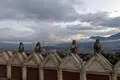 Affen beobachten die Stadt von einer Mauer aus.