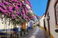 Kopfsteinpflasterstraße mit blühender Bougainvillea und traditionellen Häusern.