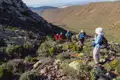 Wandergruppe auf einem Bergpfad mit Trekkingstöcken.