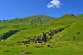 Wanderer und Packpferd auf einem Bergpfad. Im Hintergrund sind grüne Hänge und ein historisches Gebäude zu sehen.