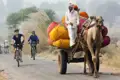 Radfahrer auf einer Reise begegnen einem Kamelkarren, der mit bunten Säcken beladen ist.
