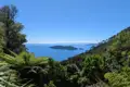 Blick auf eine Insel im Meer von einem Aussichtspunkt mit umgebender Vegetation.