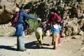Reisender trifft Kinder mit Schaf