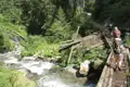 Wanderer auf einem improvisierten Holzsteg über einen Bach im Wald.