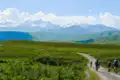 Gruppe von Mountainbikern auf einem Bergpfad mit schneebedeckten Gipfeln im Hintergrund.