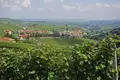 Weinberge und Dorf im Piemont.