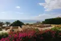 Blick auf das Tote Meer von einer historischen Stätte mit Bougainvillea im Vordergrund.