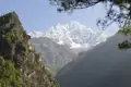 Schneebedeckter Berggipfel in der Ferne, mit bewaldeten Berghängen im Vordergrund.