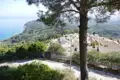 Blick auf ein Dorf an der Küste von einem Aussichtspunkt mit einer Pinie im Vordergrund.