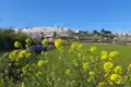 Blick auf die weiße Stadt von einem Feld mit gelben Wildblumen aus.