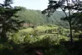 Blick auf ein grünes Tal, umgeben von bewaldeten Hügeln. In der Landschaft sind vereinzelte Häuser und Bäume zu sehen.