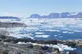 Eisberge und Küste Grönlands