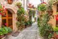 Eine enge Gasse, geschmückt mit üppigen Blumen und Pflanzen, die an den Häuserwänden hängen und den Weg säumen.