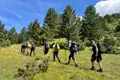 Wandergruppe auf einem Wanderweg durch eine blühende Wiese.