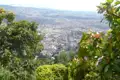 Blick über die Stadt mit üppiger Vegetation im Vordergrund.