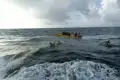 Delphine schwimmen im Meer neben einem Boot voller Menschen.