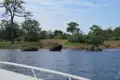 Drei Elefanten baden im Fluss, während eine Bootsfahrt die Szene beobachtet.