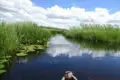 Kanufahrt auf einem Fluss durch üppiges Schilf und Seerosen.