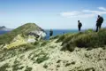Wanderer mit Rucksäcken auf einem Küstenpfad, der Vegetation und felsiges Gelände zeigt, mit Blick auf das Meer und eine vorgelagerte Insel.