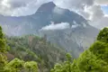 Berge mit Wolken und Kiefern.