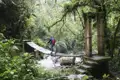 Wanderer auf einer Holzbrücke im Dschungel.