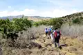 Wanderer auf einem steinigen Weg in hügeliger Landschaft.