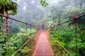 Metallische Hängebrücke im Nebelwald.