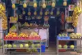 Auslage eines Obststandes mit verschiedenen Früchten.