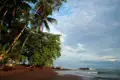 Palmen und tropische Vegetation am Strand.
