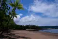 Palmengesäumter Strand mit Blick auf das Meer.