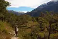 Wanderer auf einem Bergpfad in einem bewaldeten Tal mit schneebedeckten Bergen im Hintergrund.