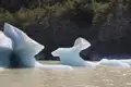 Eisberge im Wasser treibend, mit einem bewaldeten Ufer im Hintergrund.