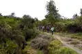 Wandergruppe auf einem Pfad inmitten von dichter Vegetation.