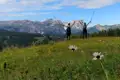 Zwei Wanderer mit Wanderstöcken feiern das Erreichen eines Gipfels in den Bergen.