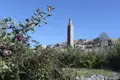 Apfelbaum im Vordergrund mit Blick auf ein Dorf und seinen Turm.