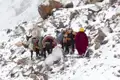 Traditioneller Transport mit Maultieren durch verschneites Gebirge.