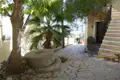 Gepflasterter Weg in einem griechischen Dorf mit altem Mühlstein und Palmen.