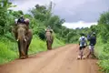 Radfahrer treffen auf Elefanten während einer Radtour durch den Dschungel.