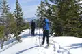 Zwei Schneeschuhwanderer auf einem verschneiten Weg, umgeben von Tannenbäumen, mit Bergen im Hintergrund.