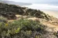 Dünenvegetation und Sand an der Küste.