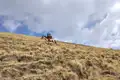 Packpferd trägt Gepäck auf einem Berghang, wahrscheinlich während einer Reise durch bergiges Gelände.